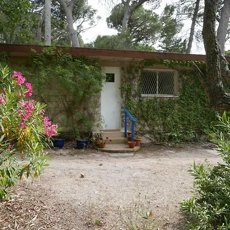 Mon Cabanon Sous Les Pins *