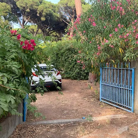 Mon Cabanon Sous Les Pins *