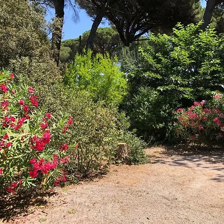Mon Cabanon Sous Les Pins Vakantiehuis *