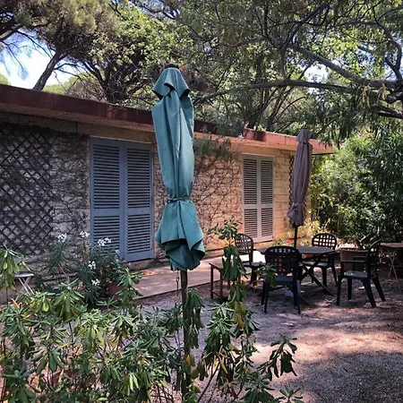 Holiday home Mon Cabanon Sous Les Pins Saint-Tropez